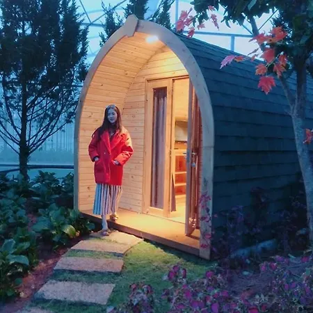 Berry Valley Homestay Đà Lạt Ngoại thất bức ảnh